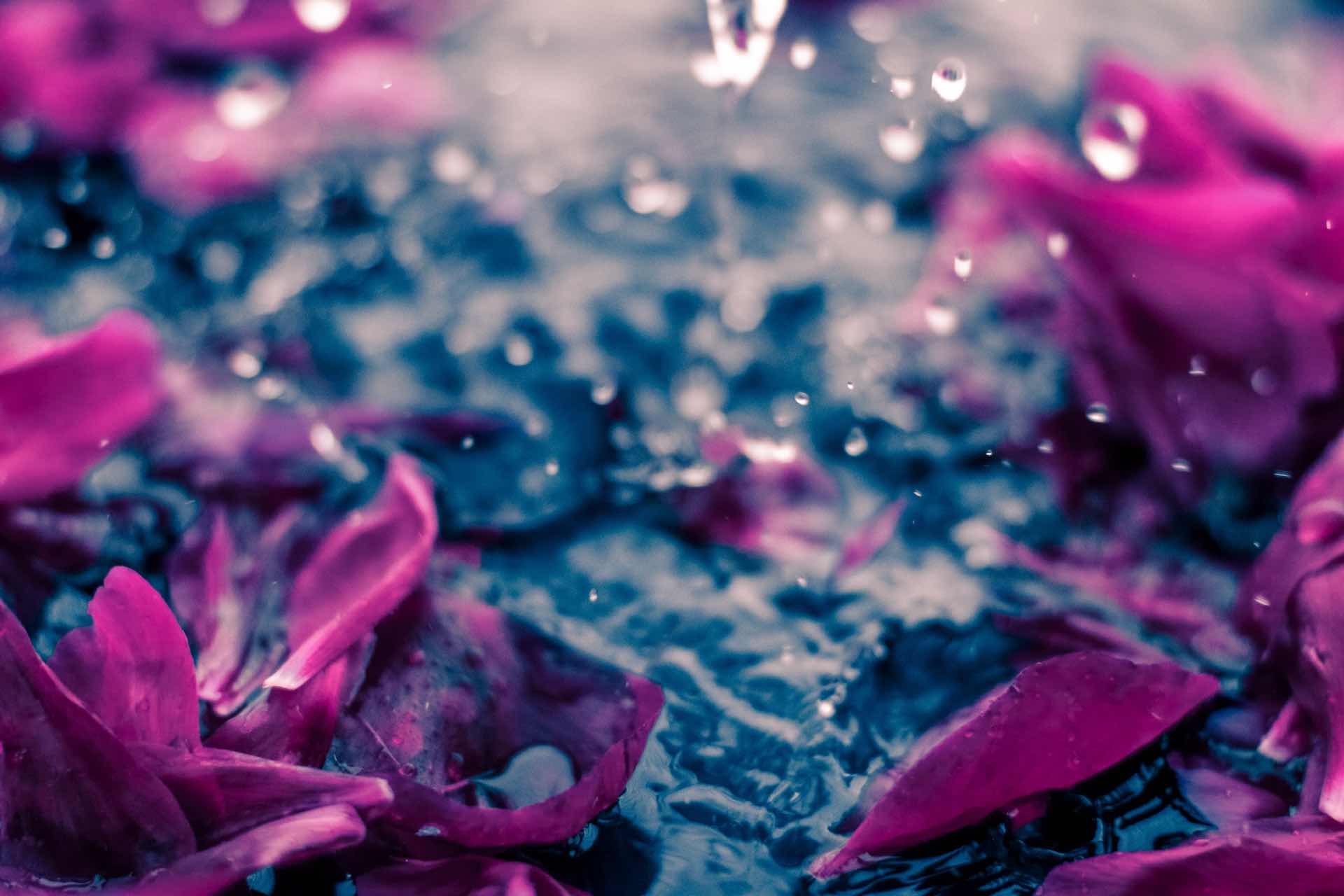 Blumen, Wasser, unerwünschte Gefühle