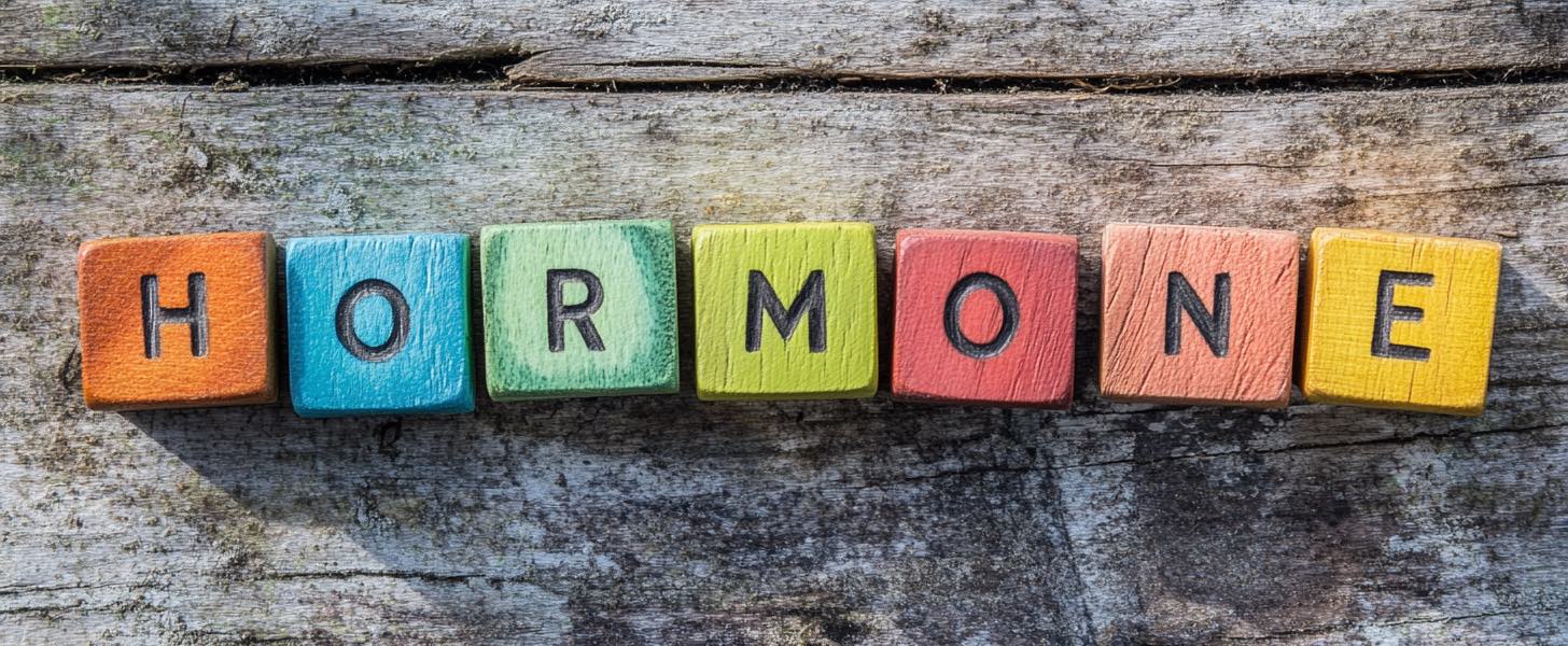 Das Bild zeigt bunte Holzklötze, die nebeneinander auf einem rustikalen Holztisch liegen und das Wort "Hormone" bilden.