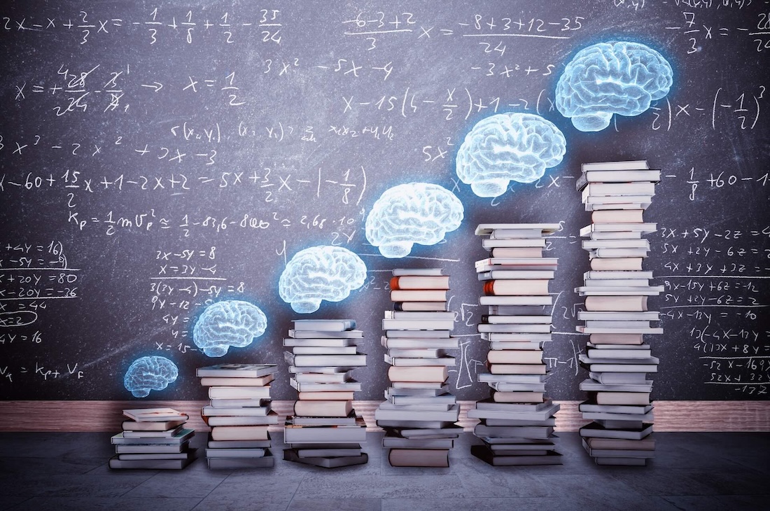 Verstehen, wie dein Gehirn wirklich funktioniert