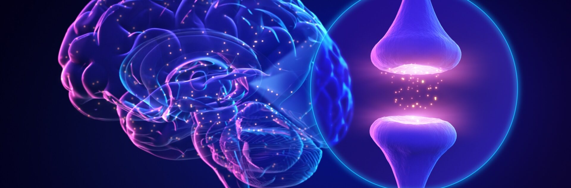 Neuronale Verbindungen, die im Neuromentaltraining Practitioner gezielt gestärkt werden Menschliches Gehirn, Synapsen, Neurowissenschaft